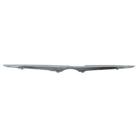 Comprar Listón embellecedor / protector, panal de radiador de BLIC 6502-07-8157212P a bajo precio de 15,19 €