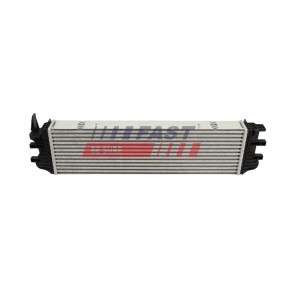Acquista Debimetro da FAST FT10611 a buon mercato per soli 106,27 €