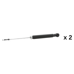 Stoßdämpfer 854S21212 von RIDEX günstig für 30,59 € online kaufen