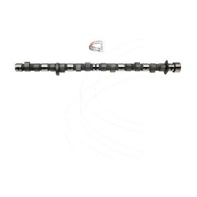 Nockenwelle CP10610 von CAMPRO günstig für 250,13 € online kaufen
