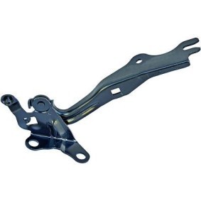 Comprar Bisagra, capó del motor de DIEDERICHS 5625018 a bajo precio de 15,46 €