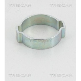 Dichtungssatz, Kurbelgehäuse 595-5570 von TRISCAN günstig für 32,38 € online kaufen