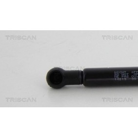 Dichtungssatz, Zylinderkopf 598-8018 von TRISCAN günstig für 69,65 € online kaufen