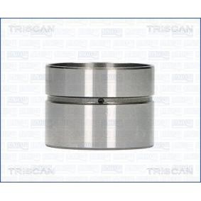 Hydrostößel 80-29003 von TRISCAN günstig für 14,59 € online kaufen