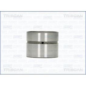 Hydrostößel 80-29008 von TRISCAN günstig für 22,72 € online kaufen