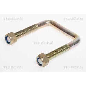 Federbride für CITROËN von TRISCAN