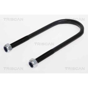Federbride für CITROËN von TRISCAN