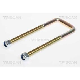Acquista Staffa attacco molla da TRISCAN 8765 100001 a buon mercato per soli 25,56 €