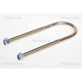 Federbride für CITROËN von TRISCAN