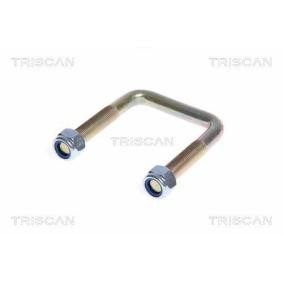 Federbride für CITROËN von TRISCAN