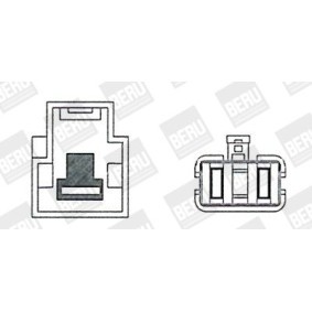 Kühlerlüfter LE696 von BERU günstig für 210,19 € online kaufen