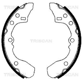 Bremsbackensatz 8100 50434 von TRISCAN günstig für 21,82 € online kaufen