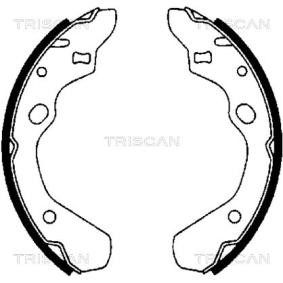Bremsbackensatz 8100 50500 von TRISCAN günstig für 25,51 € online kaufen