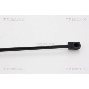 Achetez des Kit de plaquettes de frein, disque de frein de stationnement TRISCAN 8110 10569 à prix pour 23,79 €