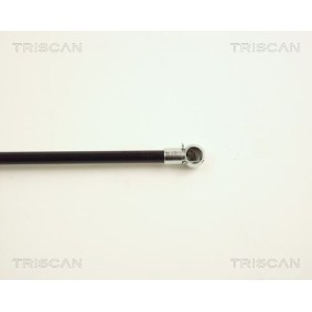 Bremsbeläge für KIA von TRISCAN