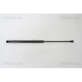 Heckklappendämpfer für SEAT von TRISCAN