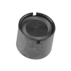 Hydrostößel VM000200 von IPSA günstig für 11,46 € online kaufen