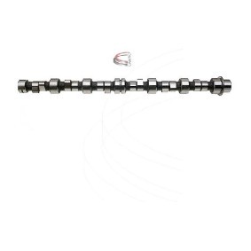 Nockenwelle CP10613 von CAMPRO günstig für 380,70 € online kaufen