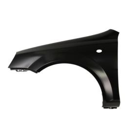 Kotflügel 6504-04-1132311P von BLIC günstig für 43,61 € online kaufen