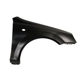 Kotflügel 6504-04-1132312P von BLIC günstig für 47,84 € online kaufen