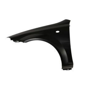 Kotflügel 6504-04-1132313P von BLIC günstig für 51,89 € online kaufen