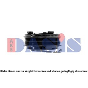 Acquista Puleggia compressore aria condizionata da AKS DASIS 851161N a buon mercato per soli 77,93 €