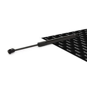 Acquista Ammortizzatore pneumatico cofano motore da RIDEX 514G0050 a buon mercato per soli 11,33 €