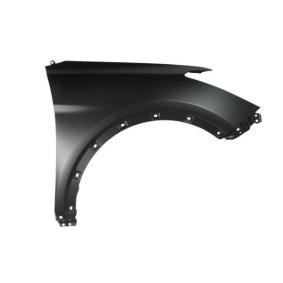 Kotflügel 6504-04-3182312P von BLIC günstig für 47,00 € online kaufen