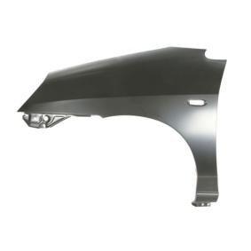 Kotflügel 6504-04-6817311P von BLIC günstig für 106,83 € online kaufen