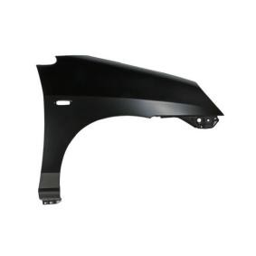 Kotflügel 6504-04-6817312P von BLIC günstig für 104,29 € online kaufen