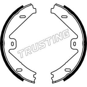 Bremsbackensatz, Feststellbremse 052.137 von TRUSTING günstig für 71,64 € online kaufen