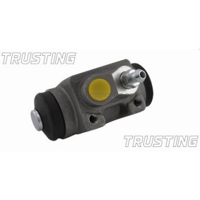 Reparatursatz, Schalthebel des Herstellers TRUSTING - Originalware Artikelnummer: 053.0