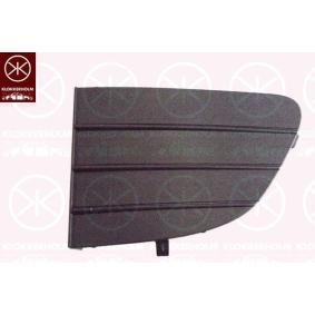 Lüftungsgitter, Stoßfänger 2019931A1 von KLOKKERHOLM günstig für 16,40 € online kaufen