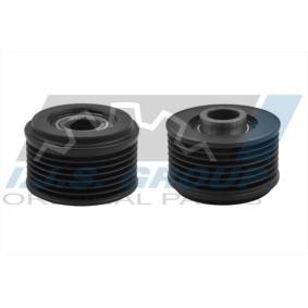 Compre Roda livre do alternador da IJS GROUP 30-1075 a um preço baixo por 32,94 €