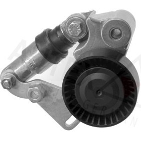 Spannarm, Keilrippenriemen 602045 von AUTEX günstig für 45,11 € online kaufen