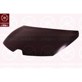 Motorhaube 6034280A1 von KLOKKERHOLM günstig für 258,48 € online kaufen
