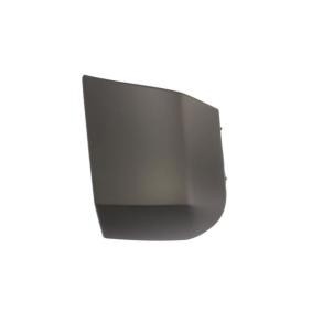 Comprar Protector para parachoques de BLIC 6502-07-0538972Q a bajo precio de 28,91 €