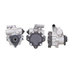 Servopumpe 715520785 von DRI günstig für 397,75 € online kaufen