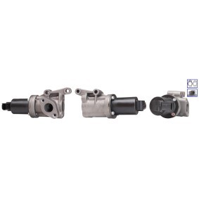 AGR-Ventil 72-0213 von ELSTOCK günstig für 223,39 € online kaufen