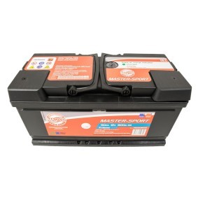 Batterie 780908002 von MASTER-SPORT günstig für 111,62 € online kaufen