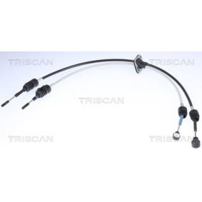 Seilzug, Schaltgetriebe 8140 23706 von TRISCAN günstig für 114,60 € online kaufen