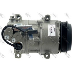 Acquista Compressore aria condizionata da TEAMEC 8629607 a buon mercato per soli 260,64 €