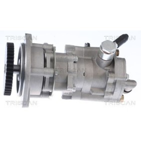 Keilrippenriemen 8640 601073xs von TRISCAN günstig für 19,23 € online kaufen