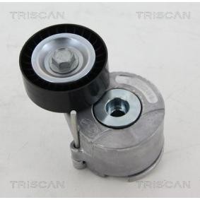 Spannrolle, Keilrippenriemen 8641 151008 von TRISCAN günstig für 55,11 € online kaufen