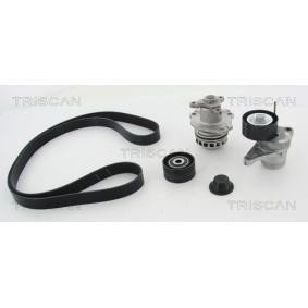 Compre Bomba de água + kit da correia de distribuição da TRISCAN 8642 100505 a um preço baixo por 254,80 €