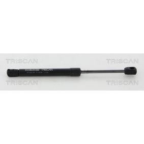 Heckklappendämpfer 8710 20105 von TRISCAN günstig für 18,41 € online kaufen