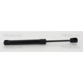 Heckklappendämpfer 8710 24259 von TRISCAN günstig für 15,37 € online kaufen