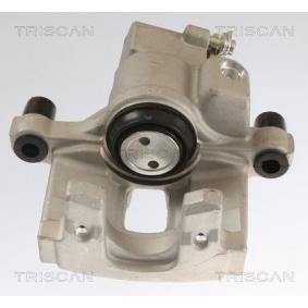 AGR-Ventil 8813 25201 von TRISCAN günstig für 109,18 € online kaufen