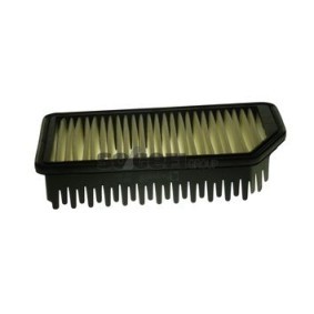 Luftfilter A2496 von TECNOCAR günstig für 56,49 € online kaufen