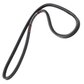 Comprar Correa trapezoidal de MASTER-SPORT AVX-10X1250-PCS-MS a bajo precio de 5,19 €